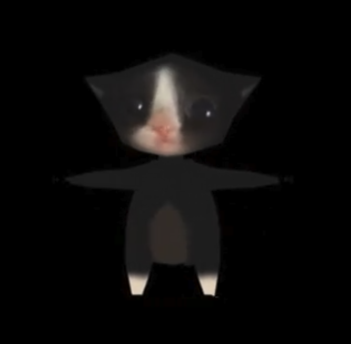 Microcat token